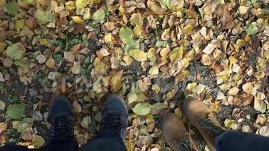 这对夫妇走过公园和秋天的黄绿色树叶，腿和鞋子的顶部景色。 高清高清
